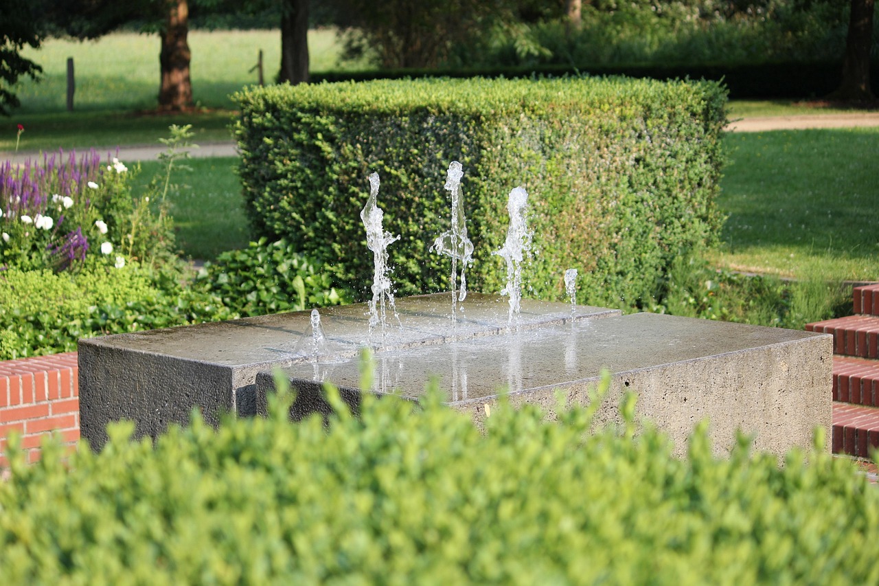 Park, water, water feature — Best Poker Training Resources Online