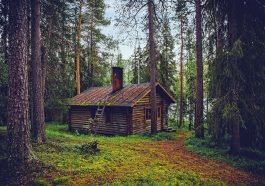 Log cabin, cottage, house — Half Wall Paneling Ideas: Adding Style and Function to Your Space
