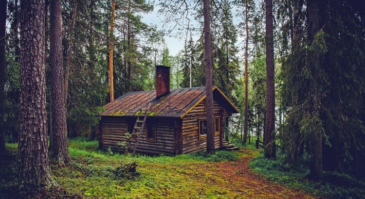 Log cabin, cottage, house — Half Wall Paneling Ideas: Adding Style and Function to Your Space