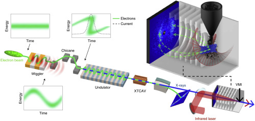Managing Higher Harmonics and Coherence in FEL EUV Light