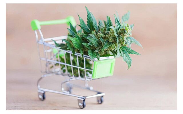 The Ultimate Guide to Purchasing Cannabis in Canada